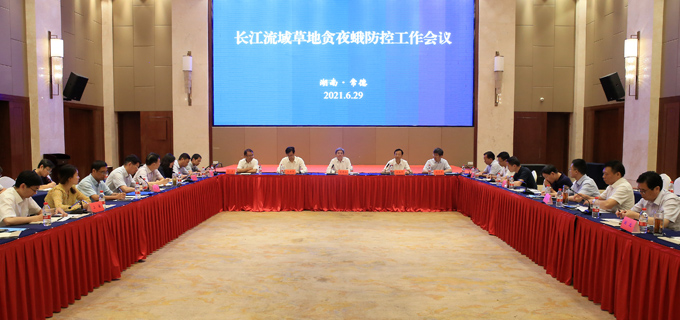 农业农村部部署长江流域草地贪夜蛾防控工作 农业农村部部署长江流域草地贪夜蛾防控工作